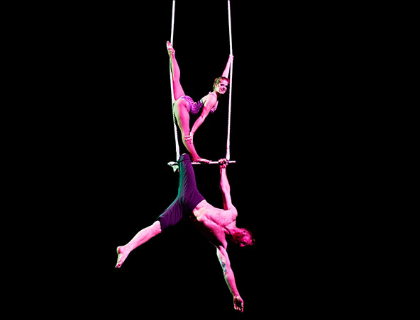 Aerialists Brisbane - Trapeze Artists - Aerial Entertainment